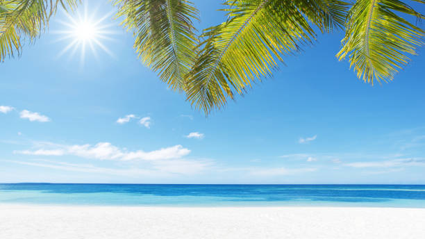 istock Tropical paradise beach in the sun 1140346807