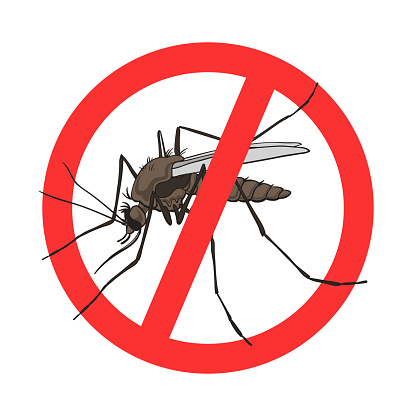 Stop mosquito sign, vector image in a red crossed out circle. Mosquito warning, prohibited sign, no mosquito