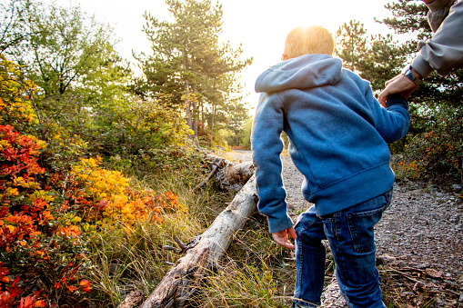 Young Boy Holding His Father's Hand and Hiking in Nature.