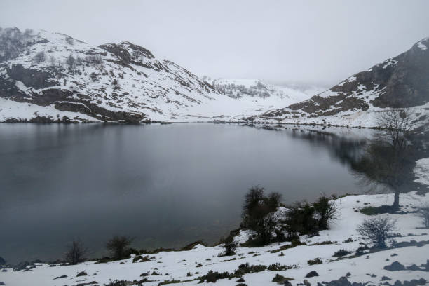 istock Enol Lake, Picos de Europa 1140349827