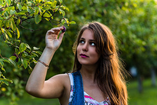 istock Beautiful Woman Picking Ripe Plums From Tree 1140355017
