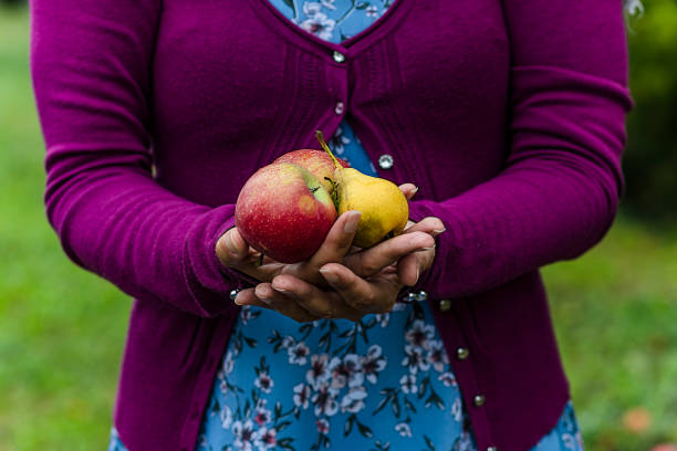 istock Apple Fruit Holding by Woman Hand 1140355095