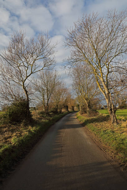 istock Quiet country lane 1140355843