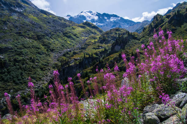 istock valais in swiss 1140361706