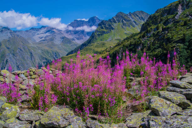 istock valais in swiss 1140361732