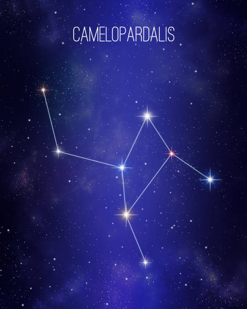 60 Camelopardalis Constellation Stock Photos Pictures Royalty Free 60-camelopardalis-constellation-stock-photos-pictures-royalty-free