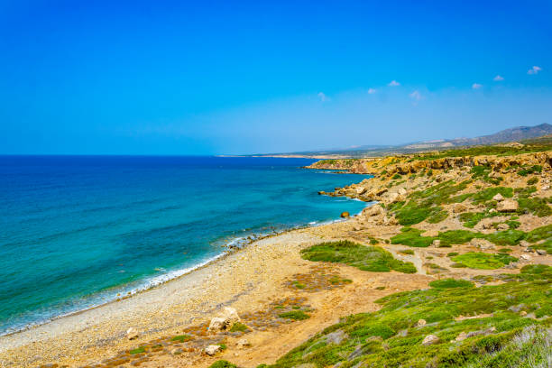 la playa de lara en chipre - akamas fotografías e imágenes de stock