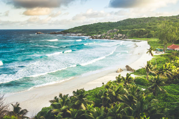 istock Magnificent sunset over a tropical beach 1140363541