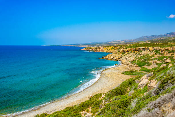 la playa de lara en chipre - akamas fotografías e imágenes de stock