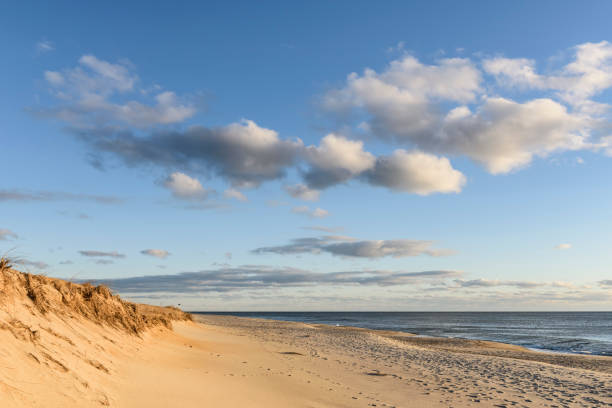 Empty beach at Cape Cod National Seashore in Massachusetts.