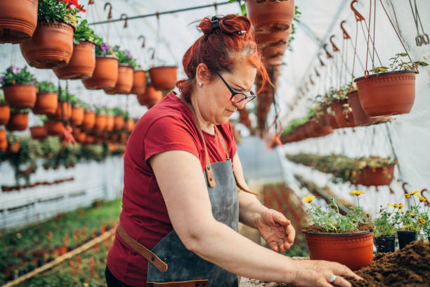 istock Mature redhead lady working on flower farm 1140366773