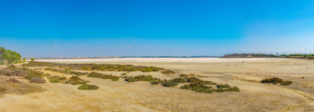 istock Larnaca viewed behind nearby salt lake on Cyprus 1140367103