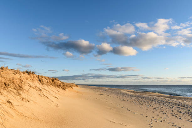 istock Sunny Morning at Beach at Cape Cod National Seashore 1140367296