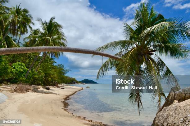 Stroll In Paradise Stock Photo - Download Image Now - Non-Urban Scene, Sea, Tiki