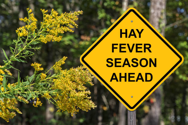 istock Hay Fever Ahead Warning Sign 1140372832