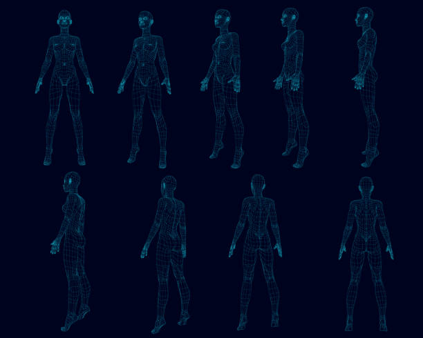 Set with a girl body wireframe from different sides. Polygonal girl consists of blue lines on a dark background. 3D. Vector illustration Set with a girl body wireframe from different sides. Polygonal girl consists of blue lines on a dark background. 3D. Vector illustration. wire frame model illustrations stock illustrations