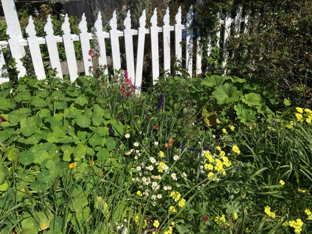 istock Lush garden with a White Fence 1140374439