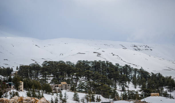 istock Beautiful Nature in north Lebanon 1140374520
