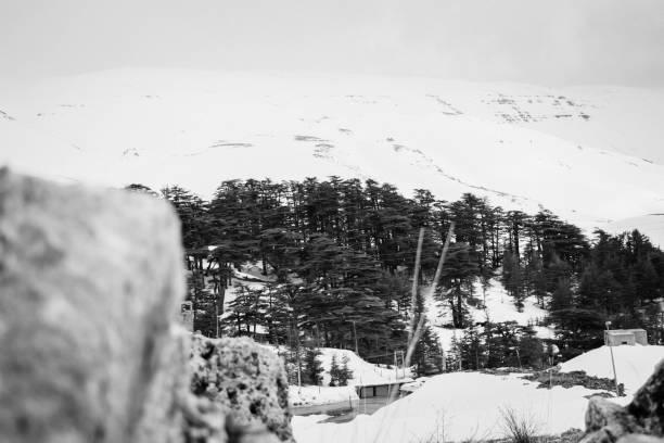 istock Beautiful Nature in north Lebanon 1140376052
