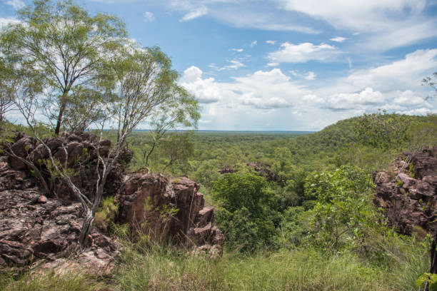 istock Sandstone and Bushland: Litchfield 1140377275