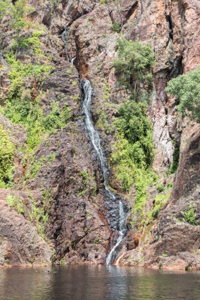 ванги-фолс крупным планом - wangi falls стоковые фото и изображения