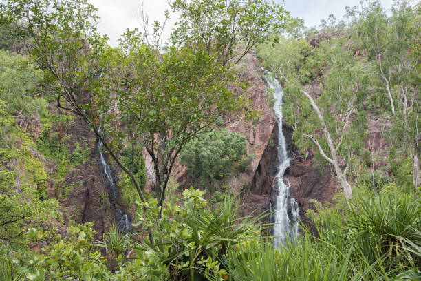 forest greenery and cascading wangi falls - wangi falls imagens e fotografias de stock