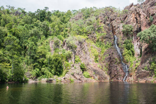 lush greenery at wangi falls - wangi falls imagens e fotografias de stock