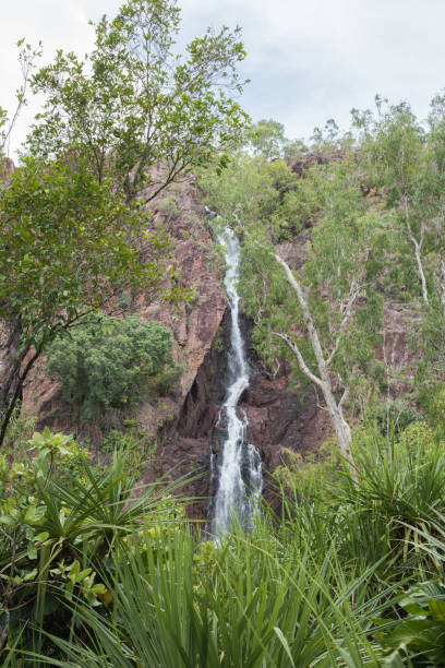 литчфилд: детал�ь водопада ванги - wangi falls стоковые фото и изображения