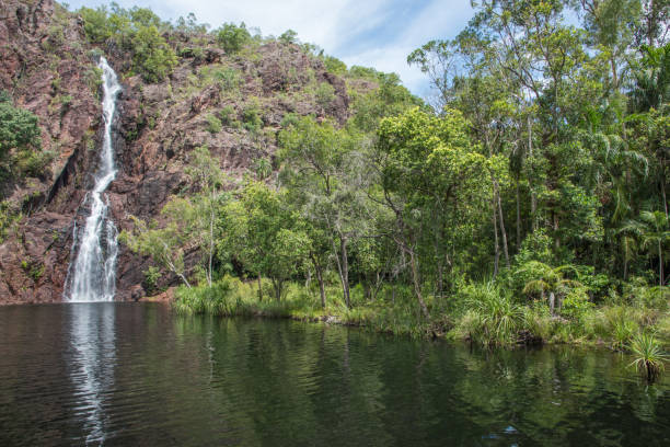 flow at wangi falls - wangi falls imagens e fotografias de stock