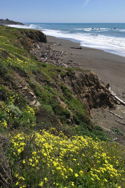 istock California Coast V 1140379535