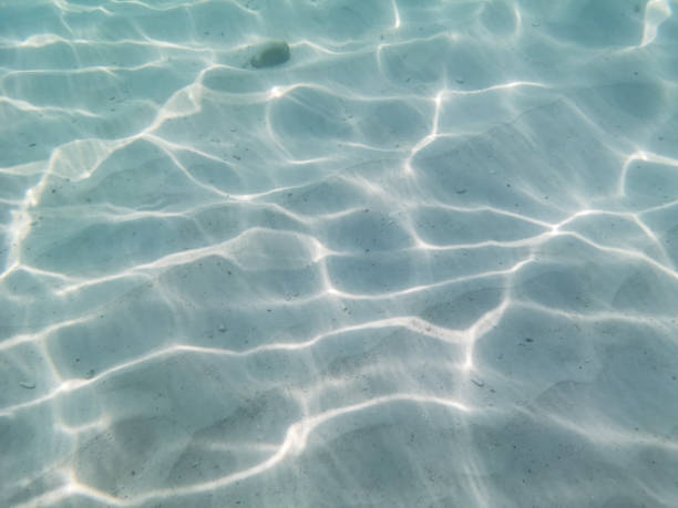sand sea beach sunlight water background