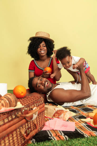 istock Happy family having picnic at studio 1140380396