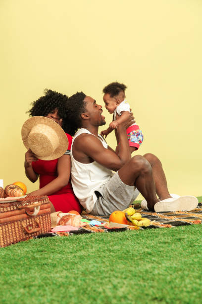 istock Happy family having picnic at studio 1140380410