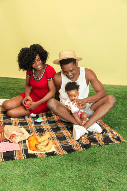 istock Happy family having picnic at studio 1140380414