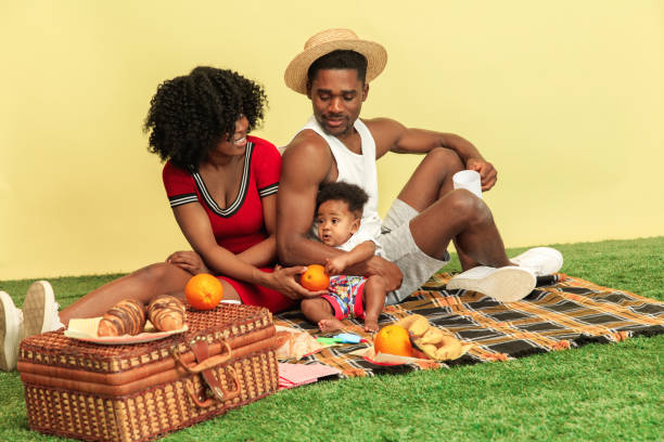 istock Happy family having picnic at studio 1140380416