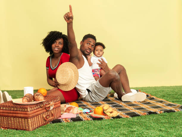 istock Happy family having picnic at studio 1140380421