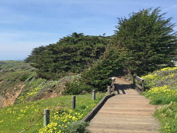istock California Coast XXXIV 1140382428