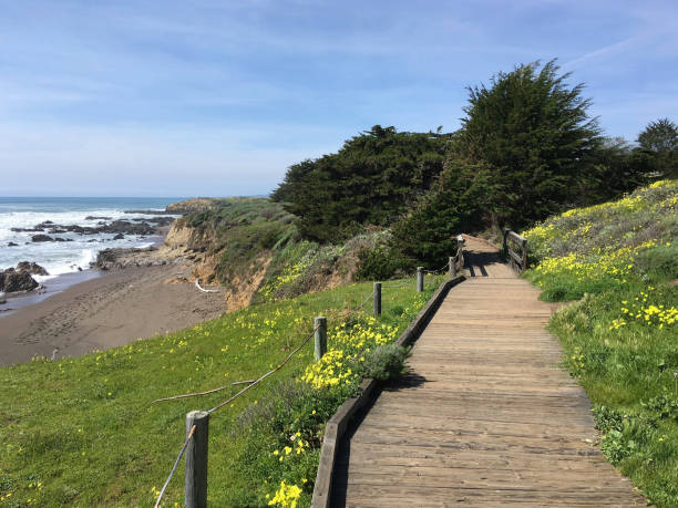 istock California Coast XXVIII 1140382474