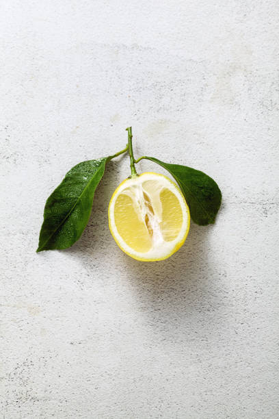 istock sliced lemon on a white stone table with leaves. food background 1140382657