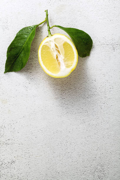 istock sliced lemon on a white stone table with leaves. food background 1140382669