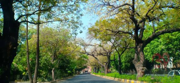 istock Autumn Season in New Delhi 1140383377