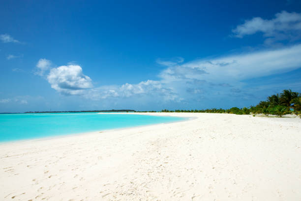 istock Maldives island with white sandy beach and sea 1140383553