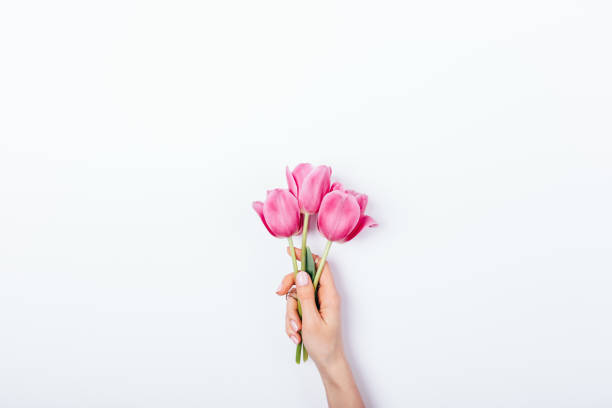 istock Woman's hand holding small bouquet 1140384905