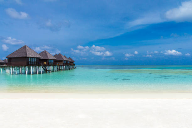 Here is a panorama view in Maldives. The paradise of sea lovers. Blue sky in Summer with clear sea water. Please see other photographs about Maldives in my Portfolio. 