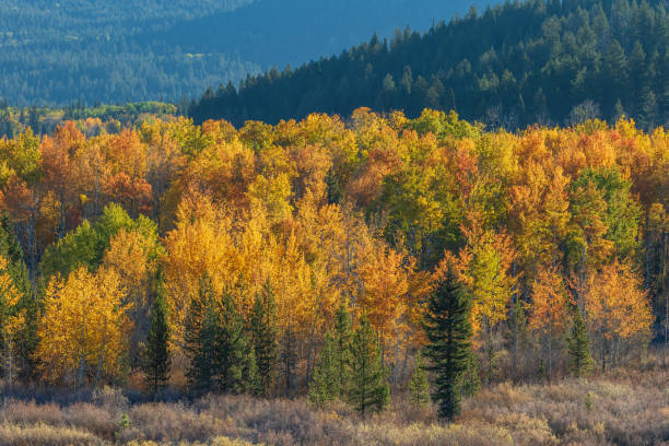 istock Scenic Autumn Landscape in the Tetons 1140386712