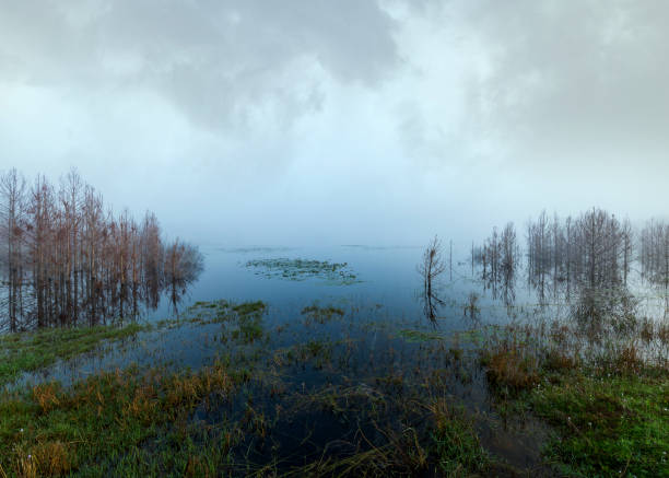 Morning view of lake in a foggy and cloudy morning in Deltona Florida.