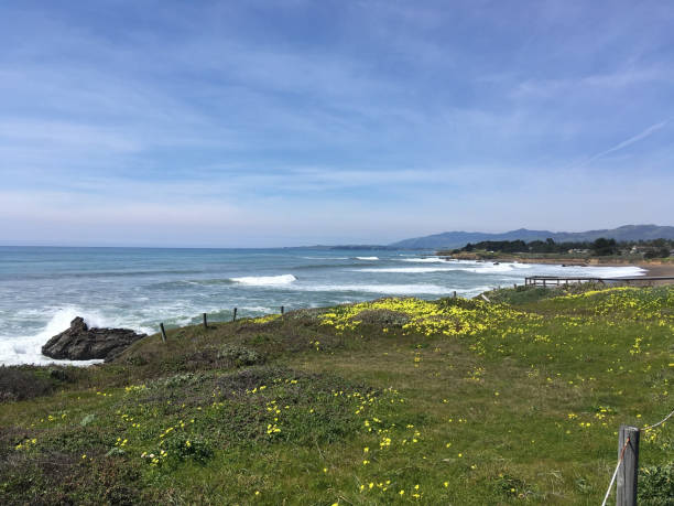 istock California Coast XLXIII 1140387401