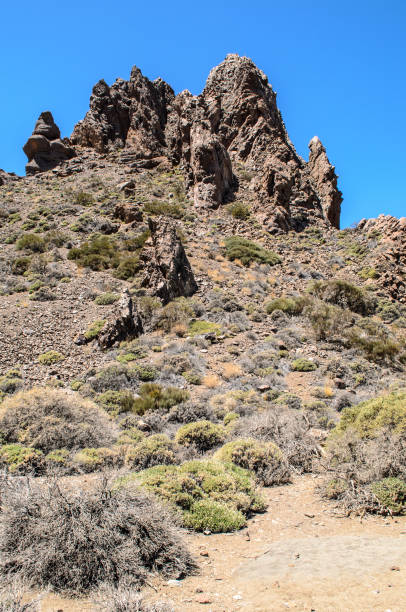 istock A view across lava field to teide from Mirador Llano de Ucanca observation deck, Teide National Park, Tenerife, Canary Islands, Spain 1140389421