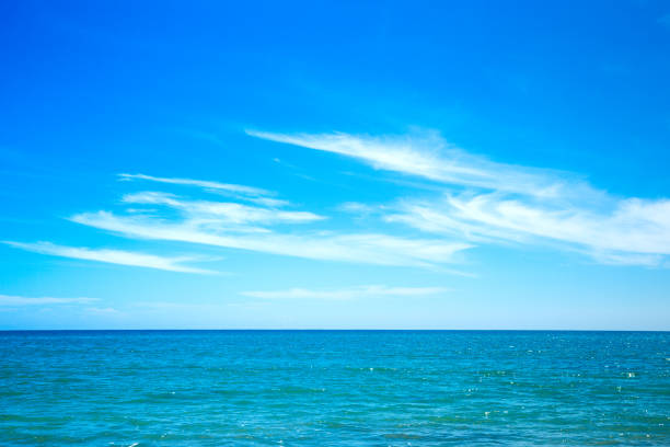 istock tropical beach in Sri Lanka 1140390903