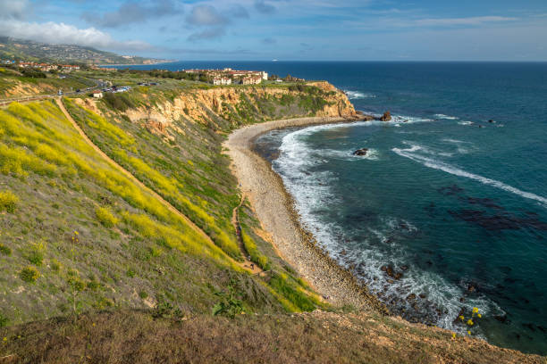 istock Pelican Cove Super Bloom 1140391491